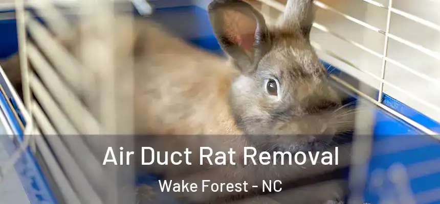  Air Duct Rat Removal Wake Forest - NC