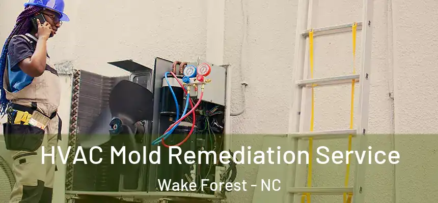  HVAC Mold Remediation Service Wake Forest - NC