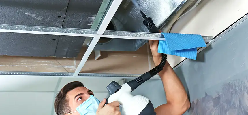 Our Air Duct Rodent Removal Services in Wake Forest, NC