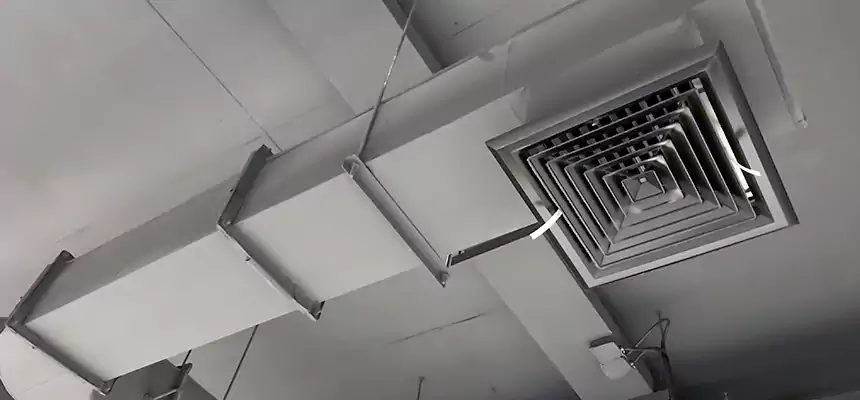 Our Pest Removal From Ducts Services in Wake Forest, NC