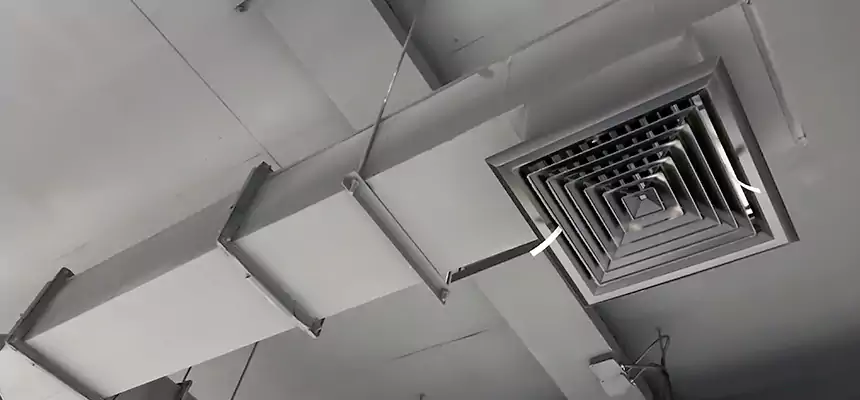 Our Rodent Droppings In Vents Services in Wake Forest, NC