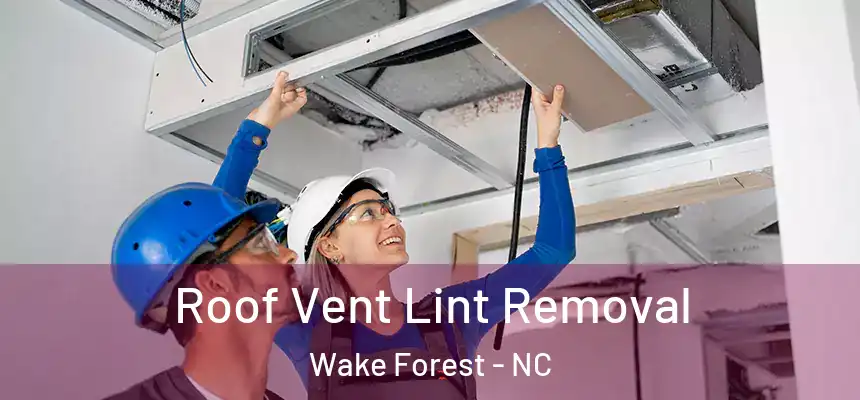 Roof Vent Lint Removal Wake Forest - NC