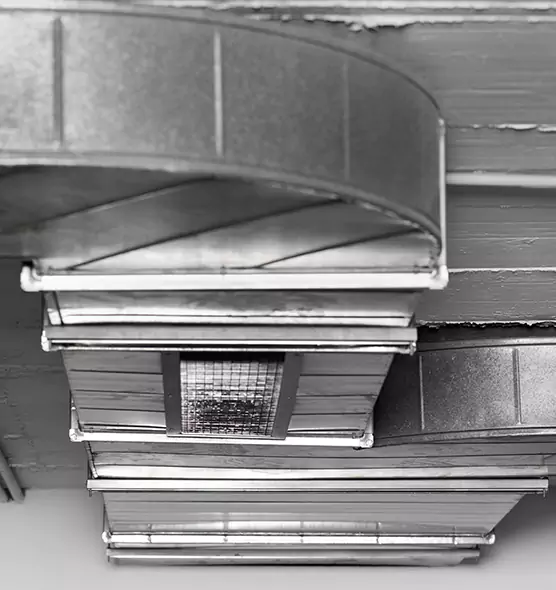 Professional Air Duct Pest Removal in Wake Forest, NC