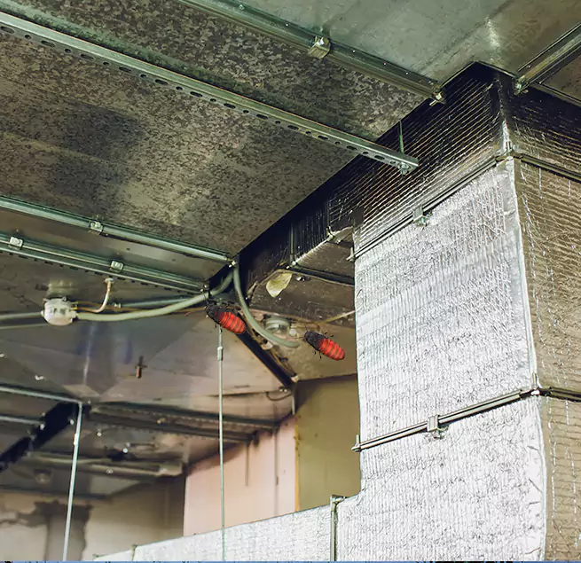 Why Homeowners & Businesses Trust Us in Wake Forest, NC?