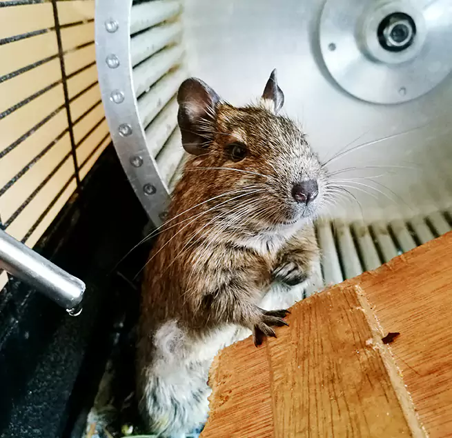 Why Homeowners & Businesses Trust Us Wake Forest, NC?