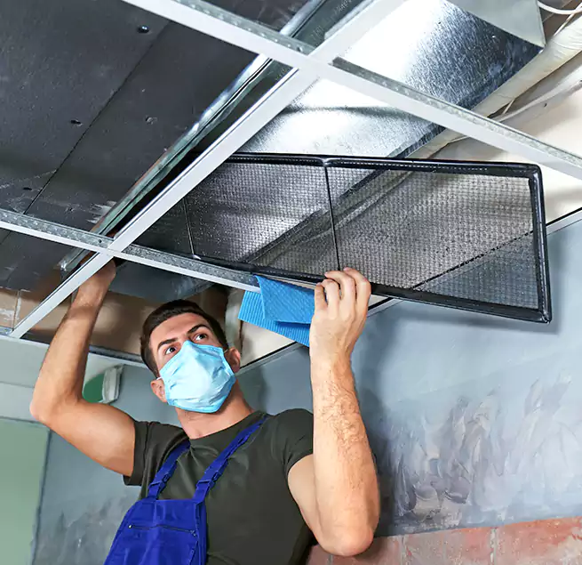 Why Homeowners Businesses Trust Us in Wake Forest, NC