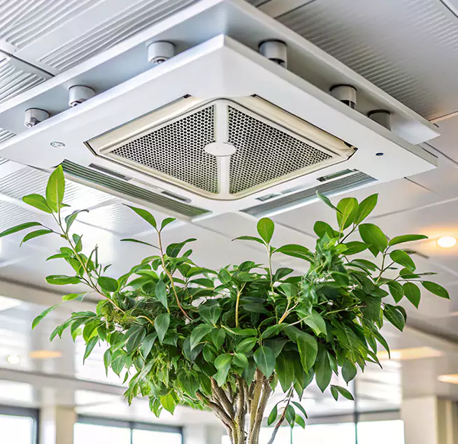 Why Homeowners & Businesses Trust Us in Wake Forest, NC?