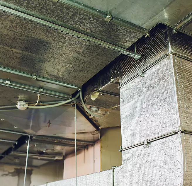 Why Homeowners & Businesses Trust Us in Wake Forest, NC?